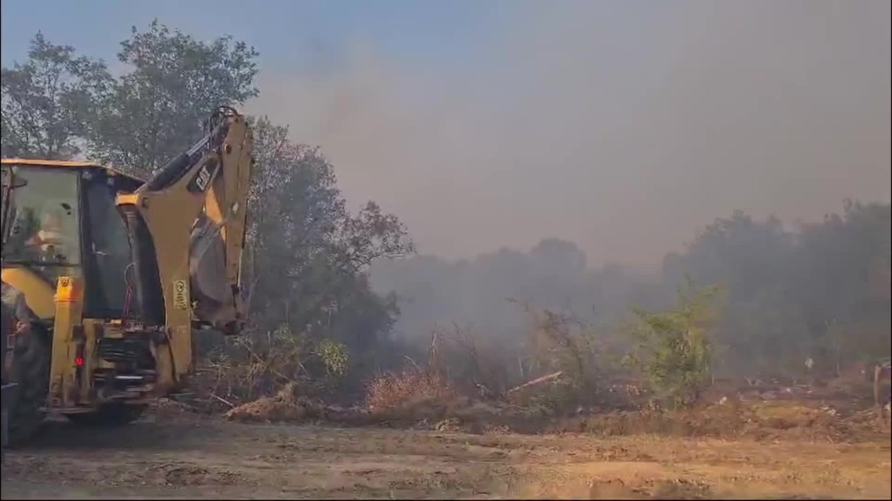 Bursa'nın Nilüfer ilçesinde orman yangını 