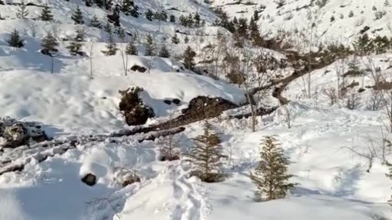 Cinayeti İşledi, 3 Yıl Sonra Teslim Oldu!