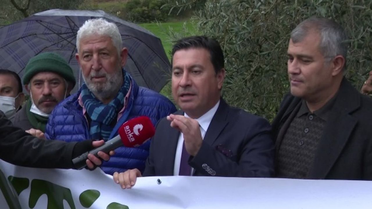"Bu Kadar Orman Yandıktan Sonra Nefes Alınacak Ağaçlara Kıyamazsınız"