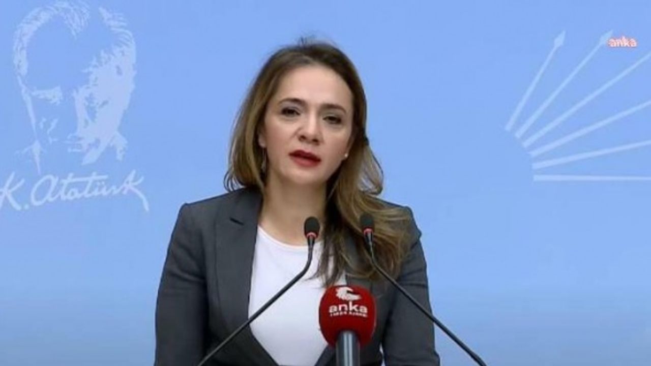 CHP'li İlgezdi: Sanatçılara Neden Yüzde 2,5 Fark 2 Aydır Yatırılmamaktadır?