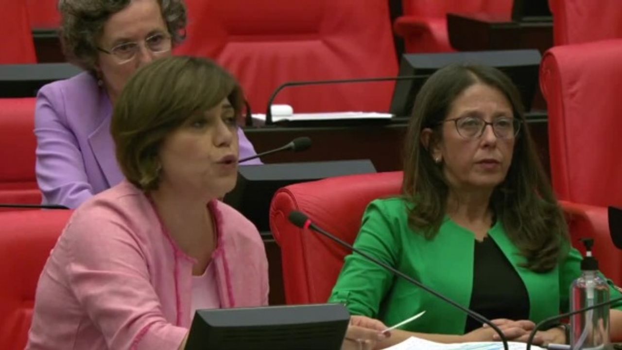 "İstanbul Sözleşmesi'nden Vazgeçmiyoruz Derken Bir Kadın Daha Saldırıya Uğradı"