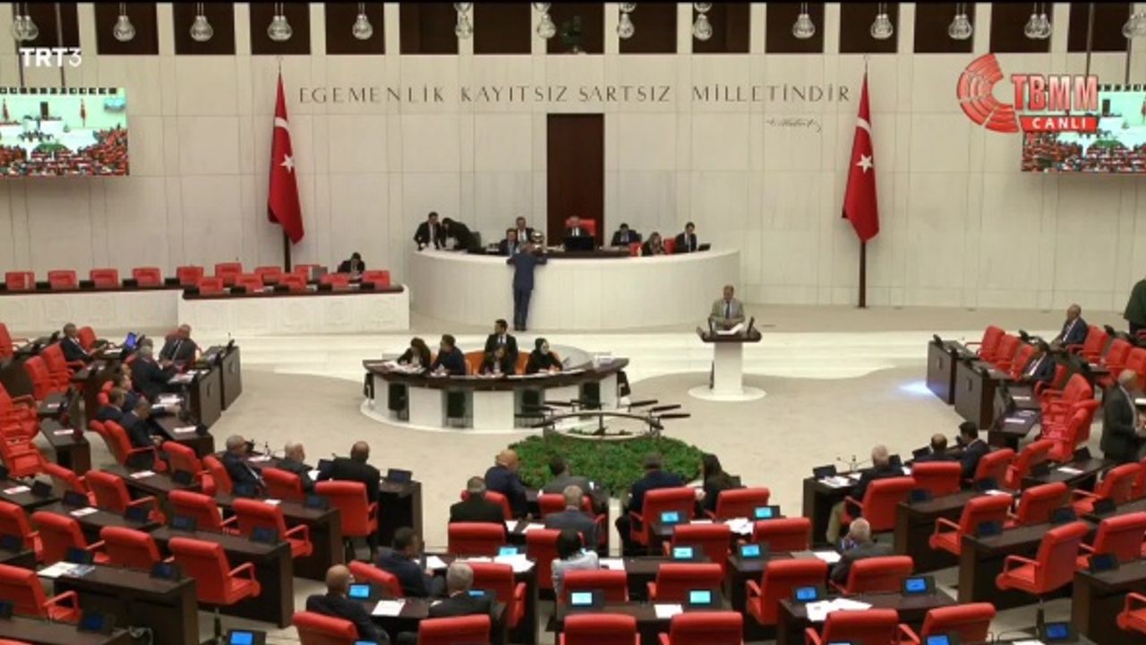 TBMM'de Orman Yangınları Önergesini de AK Parti ve MHP Oylarıyla Reddetti