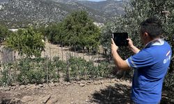 Antalya Büyükşehir Belediyesi, içme suyu ile bahçe sulayanların abonelikleri iptal ediyor 