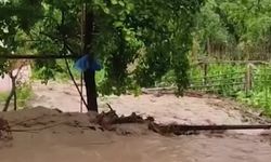 Artvin'in Tosunlu köyünde ekili tarım arazileri aşırı yağıştan zarar gördü... Sevim Pehlivan: "Bütün yaz boyu çalışıp ekip diktiğimiz her şeyi sel aldı gitti”