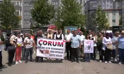 Çorum'da hayvanseverler, sokak hayvanlarıyla ilgili kanun teklifini protesto etti: "Bu kan kokan yasa teklifi geri çevrilmelidir"