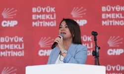 Gamze Taşcıer: "Kadınları birey olarak görmeyen AKP aklımızla alay ediyor" 