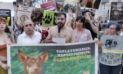 Hayvan hakları savunucuları, yasa teklifini Kadıköy'de protesto etti: Köpeklerin 'başıboş' denilerek canavarlaştırılmasına izin vermiyoruz 