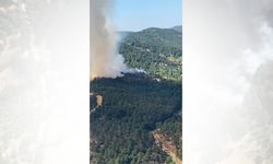 İzmir Ödemiş'te orman yangını 