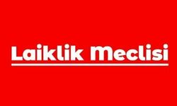 Laiklik Meclisi: "2 Temmuz katliamının karşı devrim sürecinin en alçakça saldırılarından biri olduğunu unutmamalıyız"