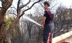 Manisa Büyükşehir, İzmir Bornova'daki yangın söndürme çalışmalarına destek oldu