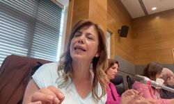 Meral Daniş Beştaş: “Ensest, şiddet, tecavüz, aile birliğine zarar vermiyor mu? Bunu önlemek için kılınızı kıpırdatmıyorsunuz, ama ‘soyadını değiştirelim’ diyorsunuz”