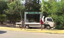 Muratpaşa’da Bambus sevinci 