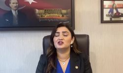 Sevda Erdan Kılıç, Tayfun Kahraman için Adalet Bakanı'na seslendi: "Cezaevlerini intikam aracı olarak kullanmaktan vazgeçin"