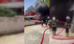 Sinop’ta çıkan yangında altı ev yandı