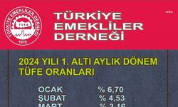 Türkiye Emekliler Derneği'nden TÜİK'e enflasyon tepkisi: "1,64'lük haziran enflasyonu piyasa gerçekleriyle çelişiyor, TÜİK suç işliyor"