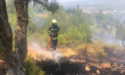 Manisa'da korkutan yangınlara Büyükşehir'den anında müdahale