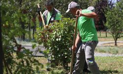 Sakarya’nın dört bir yanında estetik çalışmalar