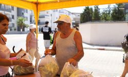 Didim Belediyesi’nin tarlasında yetişenler vatandaşa ücretsiz ulaştırılıyor