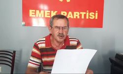  Emek Partisi'nden açıklanan fındık taban fiyatına tepki: "Dağ fare doğurdu, üretici yine mağdur"