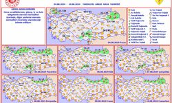 Meteoroloji'den haftalık hava tahmini: Kuzeydoğu kesimlerde yağış, iç ve batı kesimlerde mevsim normalleri üzerinde sıcaklık bekleniyor