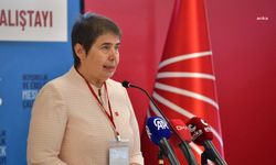 Zeliha Aksaz Şahbaz: "Şov amaçlı açılan hastaneler, hasta ve çalışan güvenliğini tehdit eder duruma gelmiştir"