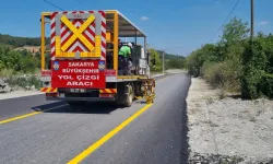 Sakarya'dan şehre renk katan dokunuş