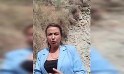 Nermin Yıldırım Kara'dan Hatay Samandağ'daki TOKİ konutlarıyla ilgili açıklama: Tarım alanlarını hoyratça heba eden şirketler kafalarına göre hareket ediyorlar