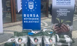 Bursa Büyükşehir'den çiftçiye tohum desteği