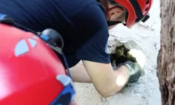 İzmir İtfaiyesi sıkışan kediyi kurtardı!
