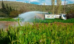 Kayseri Talas'ta haşerelere karşı erken önlem