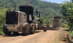 Ordu Büyükşehir'den 19 ilçede yoğun mesai
