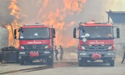 İzmir Bornova Gökdere’de yangınla mücadele sürüyor