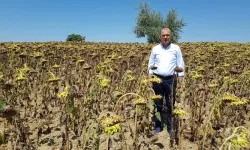 CHP Tekirdağ Milletvekili Aygun’dan kuraklık için yasa teklifi