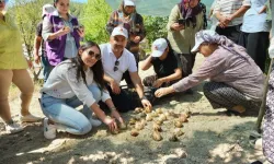 Adana'da kırsaldaki kadınlar güçlendiriliyor