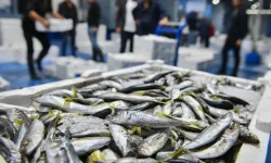 Ankara'da balık sezonu başladı, denetimler sıklaştı