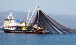 Balıkçılara dev destek! Balıkçılık gemi sayısı yüzde 65 arttı