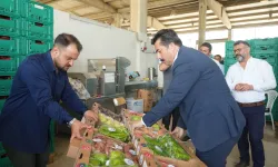 Bursa Yenişehir'in tarım ürünleri Libya yolunda... İlk numuneler gönderildi