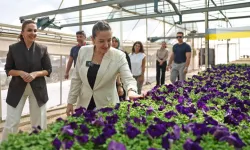 Büşra Özdemir Hurma Bitki Üretim Tesisi'ni inceledi
