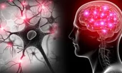 Yapay zekâ ve EEG ile otizm ve dislekside erken teşhis umudu
