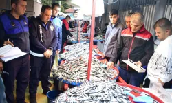 Bursa Yenişehir'de balık pazarına sıkı denetim