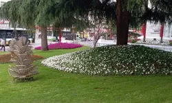 Cumhurbaşkanı Kararı ile kenstel peyzaja 'kuraklık' ayarı!