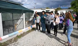 İzmir Bornova’da can dostlar için el ele
