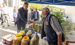 İzmir Torbalı’da zeytinle buluşma