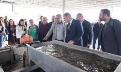 İzmir'de sezonun ilk zeytinyağı Başkan Tugay’dan