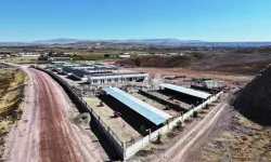 Kayseri Kocasinan'ın can dostlar merkezi örnek olacak