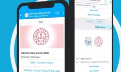 MEB'in o servisinden 350 bin öğretmen faydalandı