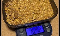 Bir adam, yerini eşiyle bile paylaşmadığı gizli bir dereden toplam 82,02 gram altın çıkardı.