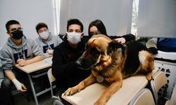 Anadolu Lisesi köpek ve kedi sahiplendi