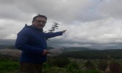 Çevrecilere Hakaret Eden Hakim Hakkında Karara Varıldı
