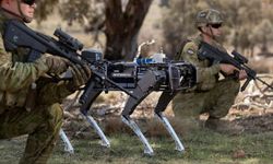 Sınırı Koruma görevi robot köpeklerde